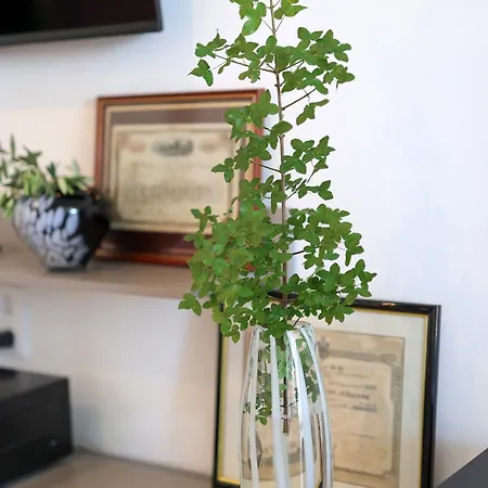 Appartement Suzi